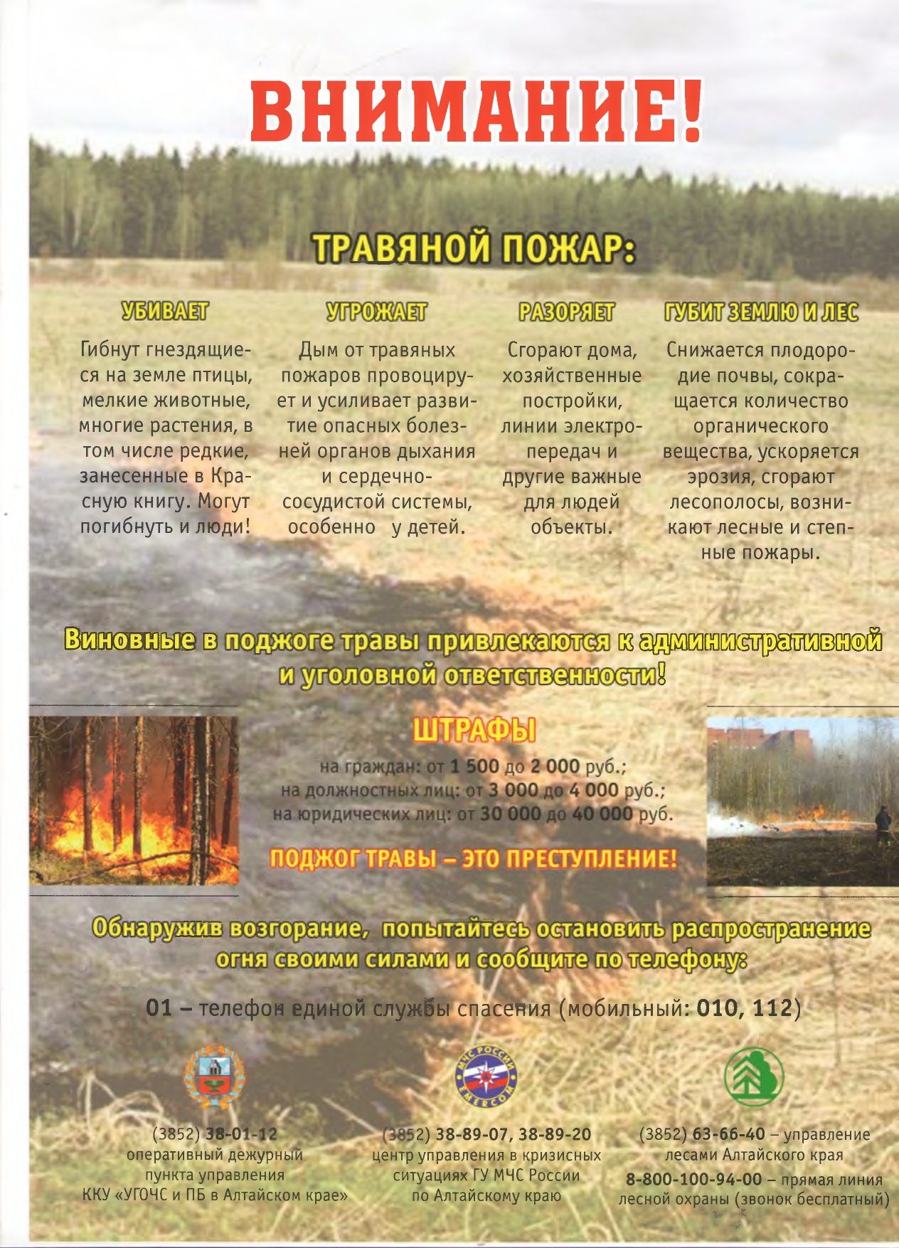 Внимание! Травяной пожар! Внимание! Травяной пожар!.